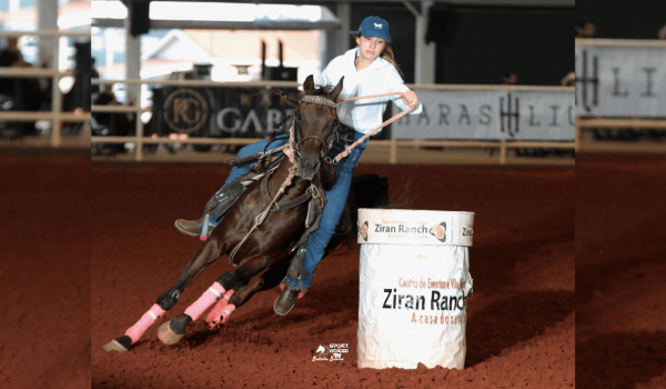 Maio movimentado: Cavalo Árabe é destaque em provas e eventos por todo o Brasil