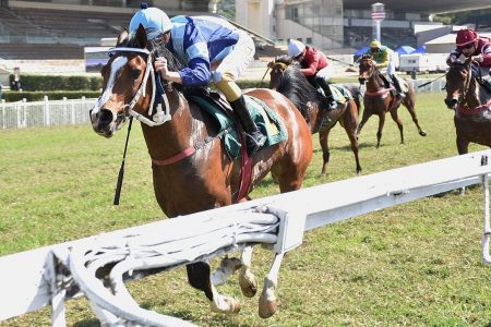 MARLIZE RACH Foto por Porfírio Menezes JCSP Corridas válidas pela 41ª Nacional do Cavalo Árabe agitam o Jockey Club de SP