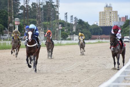 Passionaddo Rach vence páreo na abertura da temporada 2024 de corridas do cavalo Árabe