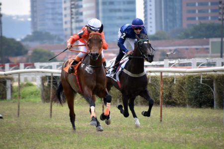 Stud Brasil Itacaré conquista primeira vitória em Cidade Jardim2 Stud Brasil Itacaré conquista primeira vitória em Cidade Jardim