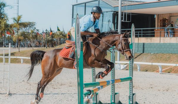 Tatuí (SP) sedia, em novembro, a principal exposição esportiva do cavalo Árabe no Brasil (5)