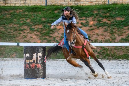 Três Tambores – ANCAF – Campeã Amador – Exposição Nacional do Cavalo Árabe Três Tambores - ANCAF - Campeã Amador - Exposição Nacional do Cavalo Árabe
