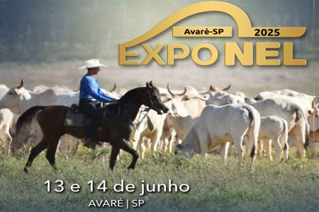 banner_exponel_2025 banner_exponel_2025