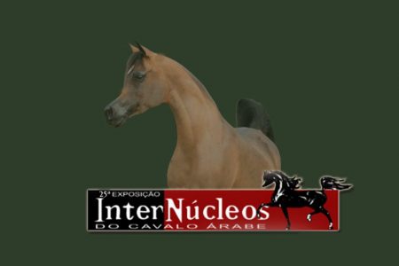 banner_internucleos_2024
