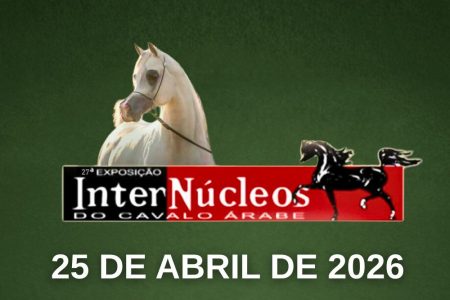 banner_internucleos_2026