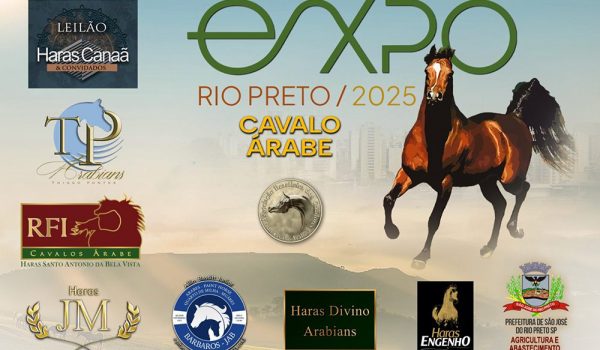banner_rio_preto_2025
